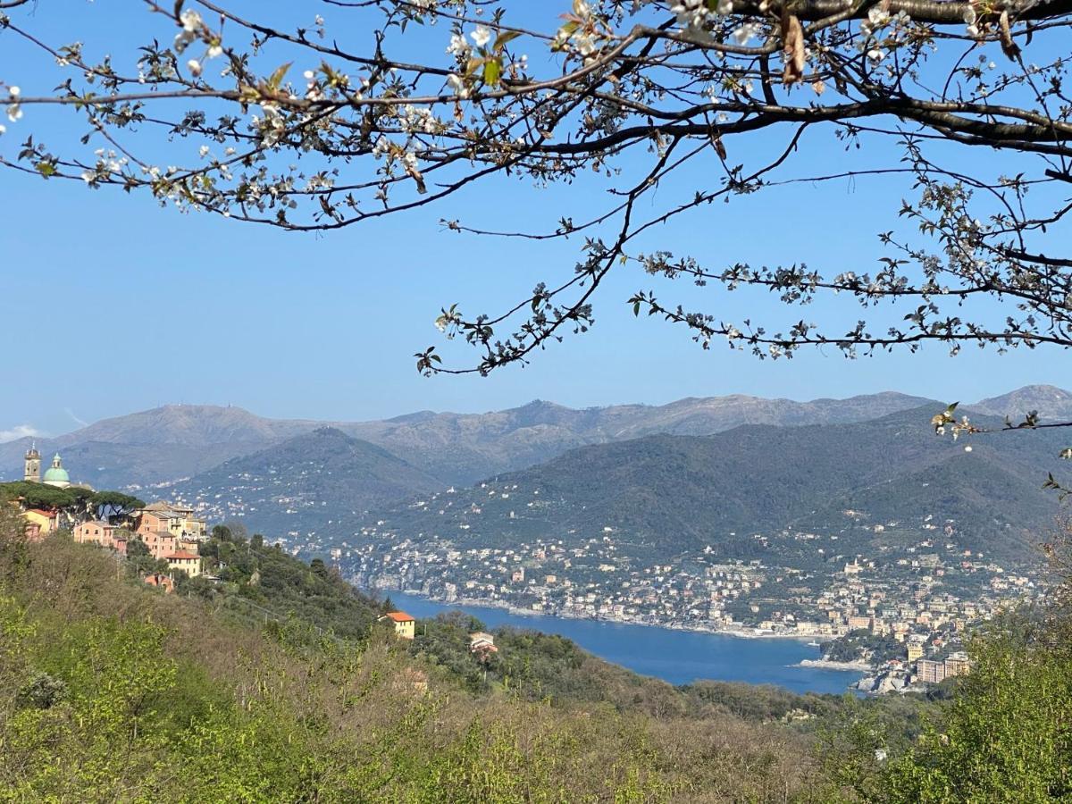 Liguria Home 4 - Recco Centro A 2 Minuti Dal Mare Buitenkant foto